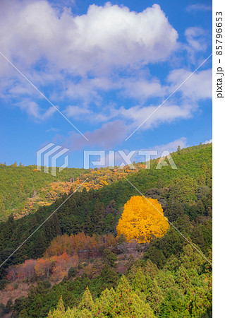 秋の中辺路町福定の光景 和歌山県田辺市中辺路町 秋の中辺路町福定の光景 和歌山県田辺市中辺路町 85796653