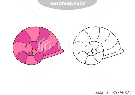 Simple coloring page. Line drawn round seashell on white isolated background 85796820