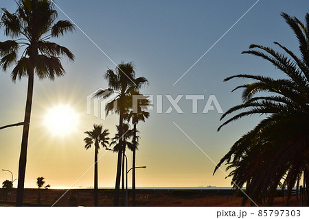 素敵な一日の始まりはここから 85797303