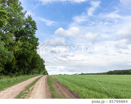 Rural dirt road, green wheat agriculture field 85799864