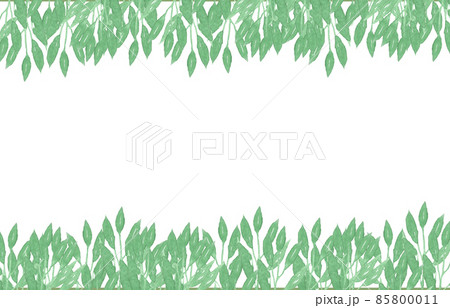 Green leafy border frame on white background Green leafy border frame on white background 85800011