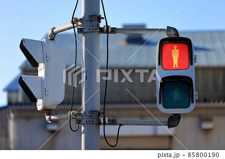 歩行者用信号機 85800190