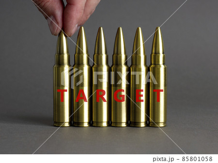 Target symbol. Ammunitions imitation with the word turget. Beautiful grey background, copy space. Business and target concept. 85801058
