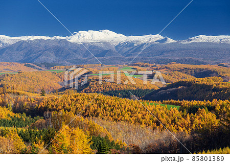 初冠雪のトムラウシ山と美瑛の丘 初冠雪のトムラウシ山と美瑛の丘 85801389