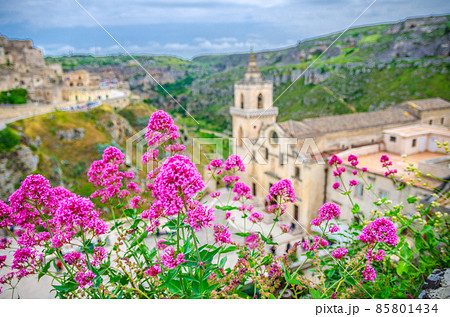 Red rose flowers and blurred background view of Church Chiesa San Pietro Caveoso Red rose flowers and blurred background view of Church Chiesa San Pietro Caveoso 85801434