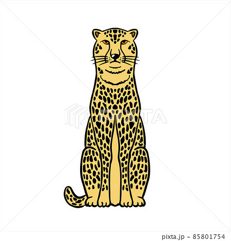 正面を向いて精悍なチーター・Cheetahのイラスト素材 [85801754] - PIXTA