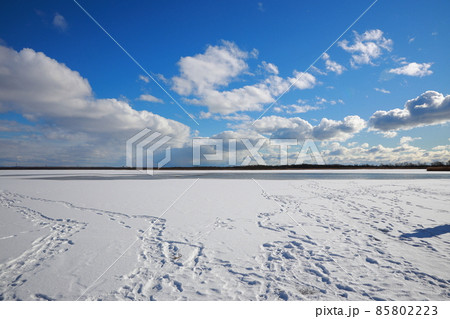 北海道 ウトナイ湖 氷 北海道 ウトナイ湖 氷 85802223