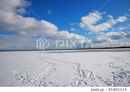 北海道　ウトナイ湖　氷　 85802224