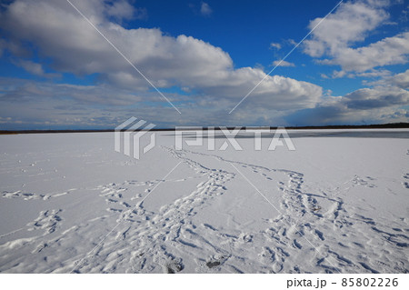 北海道　ウトナイ湖　氷　 85802226