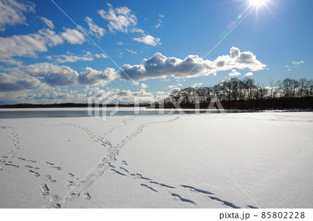 北海道 ウトナイ湖 氷 北海道 ウトナイ湖 氷 85802228