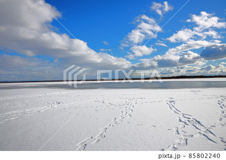 北海道 ウトナイ湖 氷 北海道 ウトナイ湖 氷 85802240