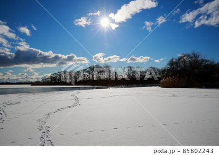 北海道　ウトナイ湖　氷　 85802243