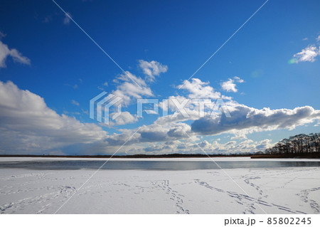 北海道　ウトナイ湖　氷　 85802245