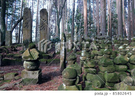 霧島市 稲葉崎供養塔群 霧島市 稲葉崎供養塔群 85802645