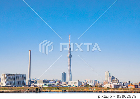 「東京都」荒川河川敷から望むスカイツリーと富士山 「東京都」荒川河川敷から望むスカイツリーと富士山 85802978