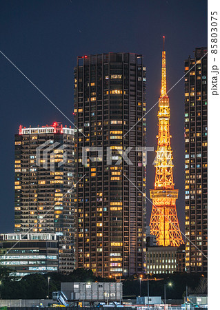 夜景「東京都」ビルの隙間から見える東京タワーライトアップ 85803075