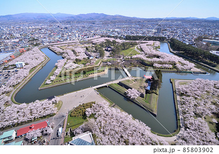 春の五稜郭公園 春の五稜郭公園 85803902
