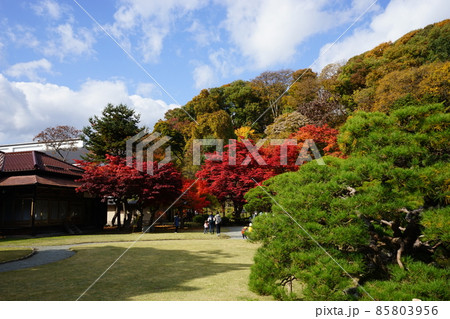 秋の日本庭園 85803956