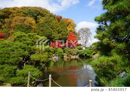 秋の日本庭園 85803957