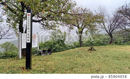 続日本100名城 雨の鮫ヶ尾城 本丸跡 続日本100名城 雨の鮫ヶ尾城 本丸跡 85804058
