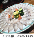 お洒落に盛り付けた刺身（薄造り）の盛り付け例 ダツ 85804339