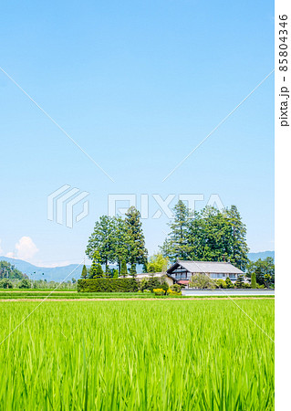 夏の田舎風景 85804346