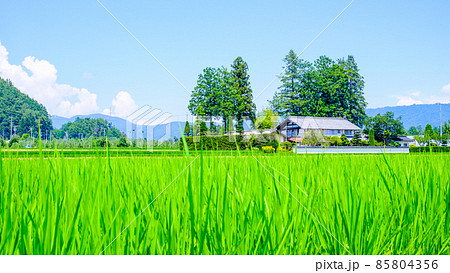 夏の田舎風景 85804356
