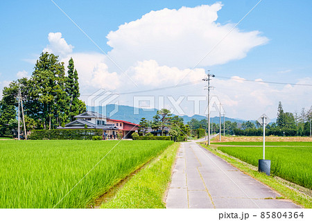 夏の田舎風景の写真素材 [85804364] - PIXTA