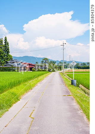 夏の田舎風景 夏の田舎風景 85804379