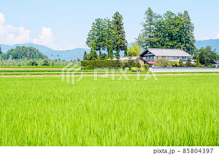 夏の田舎風景の写真素材