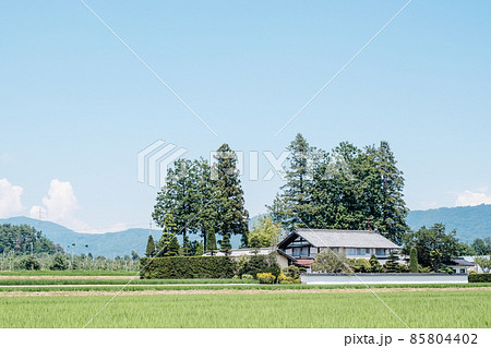 夏の田舎風景 85804402