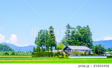 夏の田舎風景 夏の田舎風景 85804408