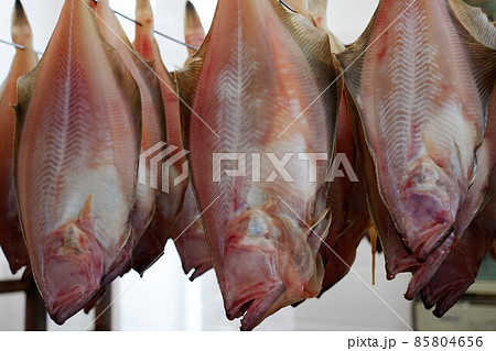 カレイの干物作り 85804656