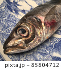 土佐・室戸の天然魚　鯵の語源は味が良いから。 85804712