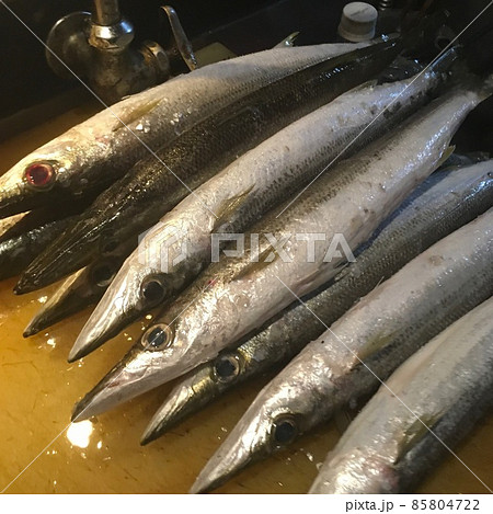 土佐の天然魚 青カマスは水カマスとも呼ばれる 安価ながら調理法で美味に 土佐の天然魚 青カマスは水カマスとも呼ばれる 安価ながら調理法で美味に 85804722