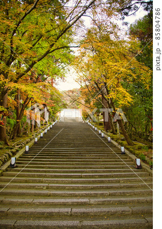 京都嵐山の秋2021　法輪寺 85804786
