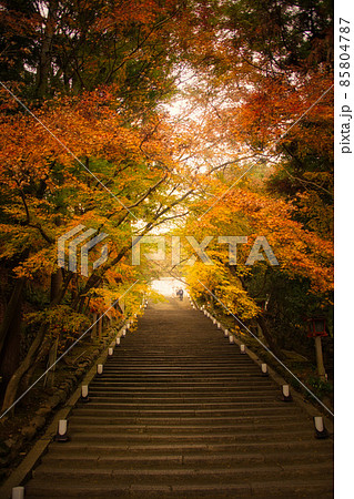 京都嵐山の秋2021　法輪寺 85804787