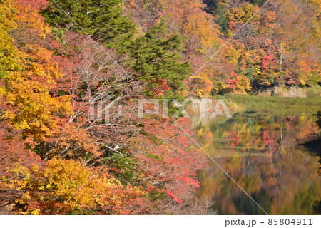 錦秋の奥裾花ダム湖 錦秋の奥裾花ダム湖 85804911