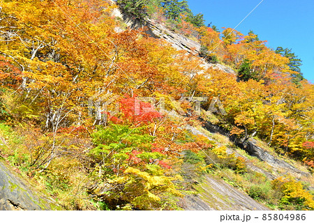 錦秋の千畳敷岩 85804986