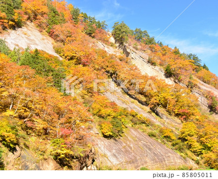 錦秋の千畳敷岩 錦秋の千畳敷岩 85805011