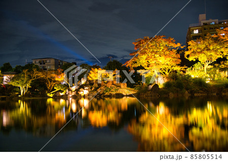 京都渉成園ライトアップ2021秋 85805514