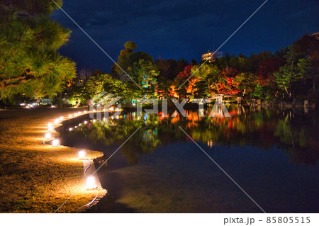 京都渉成園ライトアップ2021秋 京都渉成園ライトアップ2021秋 85805515