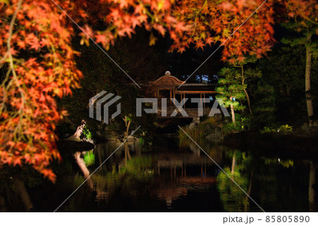 京都渉成園ライトアップ2021秋 85805890