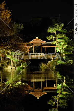 京都渉成園ライトアップ2021秋 京都渉成園ライトアップ2021秋 85805894