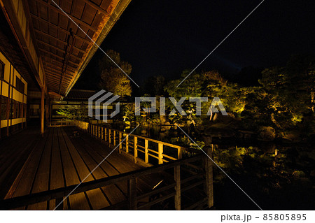 京都渉成園ライトアップ2021秋 85805895