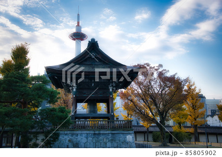 東本願寺の秋　2021秋 85805902