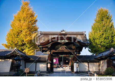 東本願寺の秋 2021秋 東本願寺の秋 2021秋 85805906