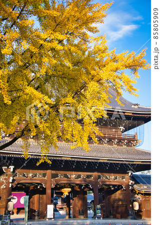 東本願寺の秋　2021秋 85805909