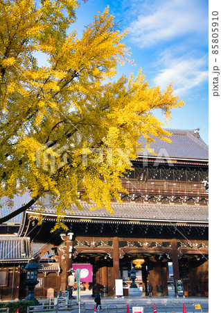 東本願寺の秋 2021秋 東本願寺の秋 2021秋 85805910