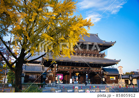 東本願寺の秋 2021秋 東本願寺の秋 2021秋 85805912
